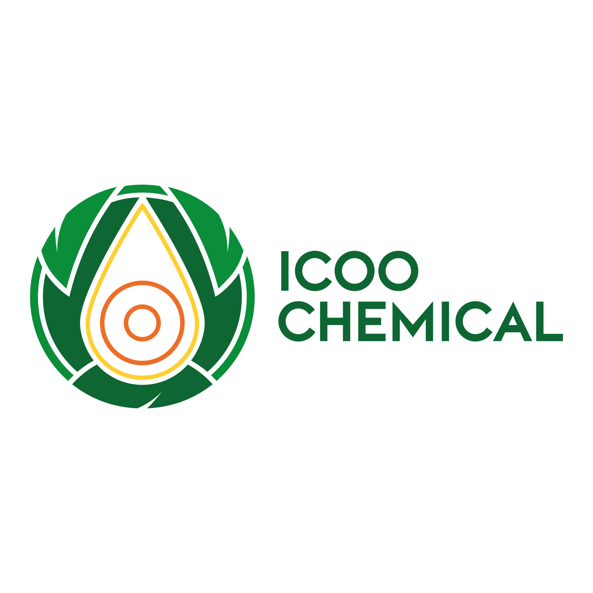 LOGO ICOO HORIZONTAL